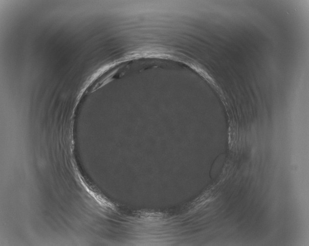 X0000078280438200611101137