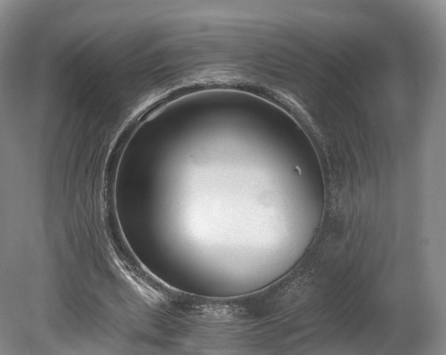 X0000078280439200611101137