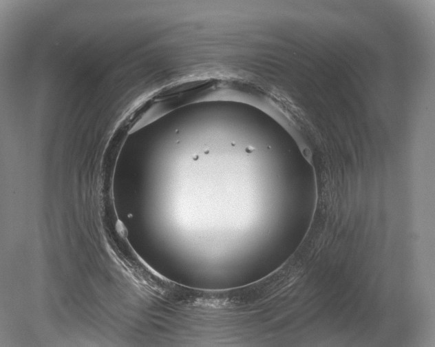 X0000078280440200611101137