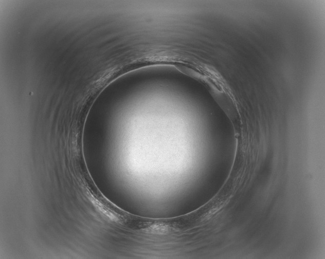 X0000078280441200611101137