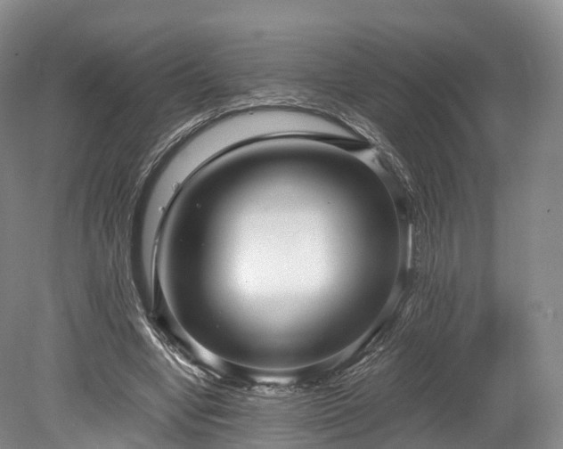 X0000078280442200611101138