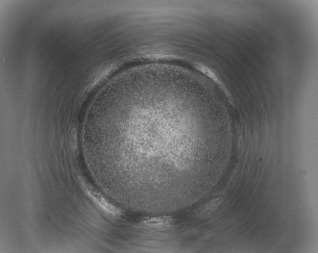 X0000078280447200611101138