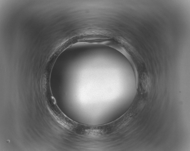 X0000078280448200611101138