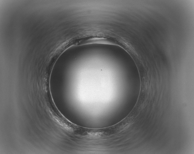 X0000078280450200611101138