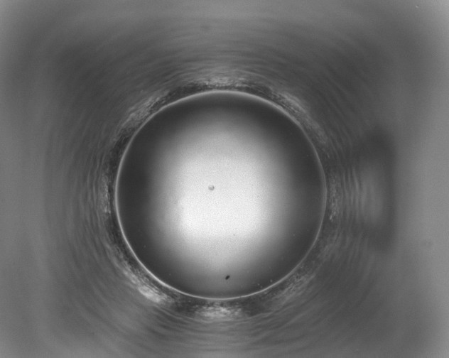 X0000078280453200611101138