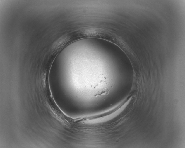 X0000078280454200611101138