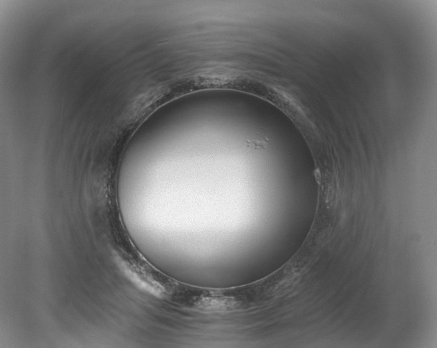 X0000078280455200611101138