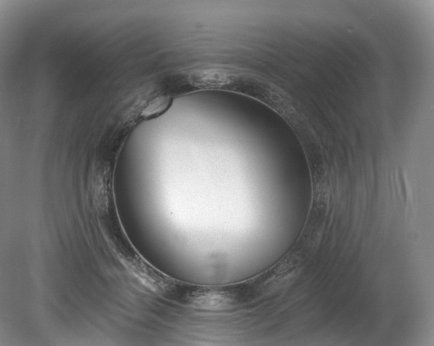 X0000078280460200611101138