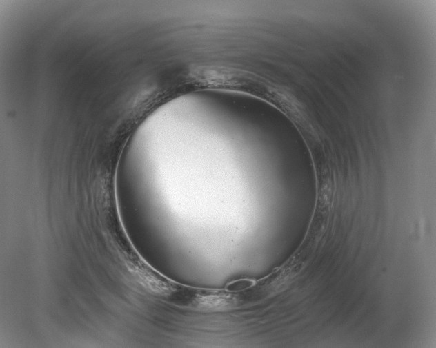 X0000078280461200611101138