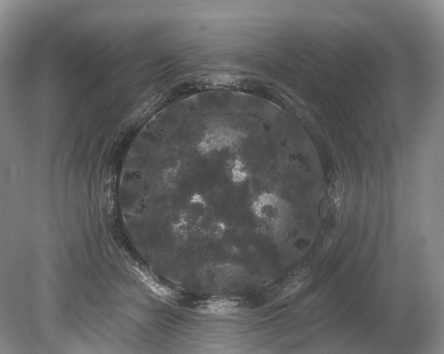 X0000078280462200611101138