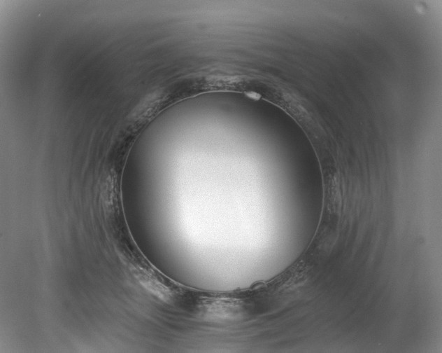 X0000078280463200611101138