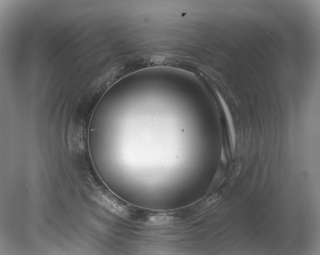 X0000078280470200611101138