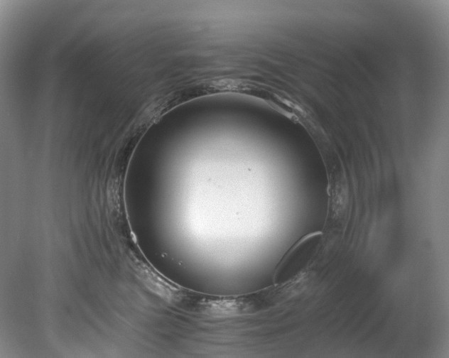 X0000078280473200611101138