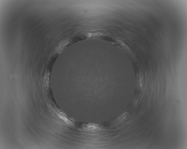 X0000078280475200611101138