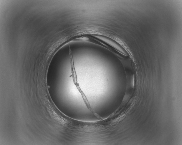 X0000078280481200611101137