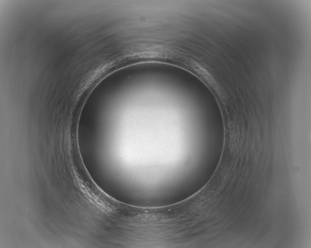 X0000078280482200611101137