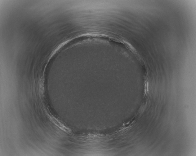 X0000078280484200611101137