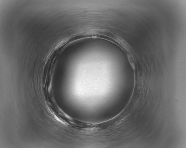 X0000078280485200611101137