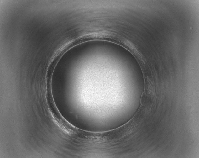 X0000078280486200611101137