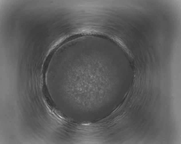 X0000078280488200611101137