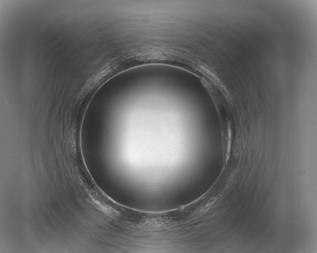 X0000078280489200611101137