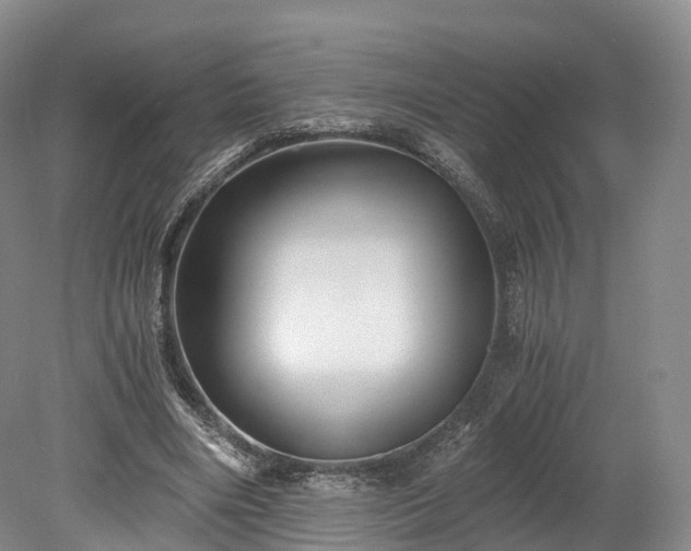 X0000078280490200611101137