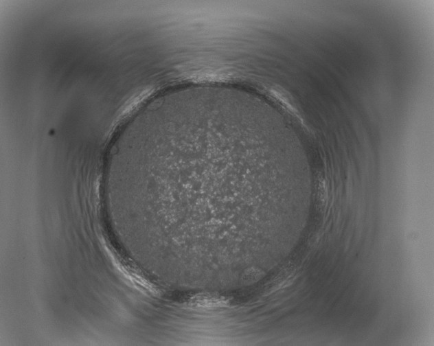 X0000078280491200611101137