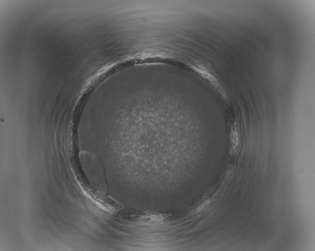 X0000078280492200611101137