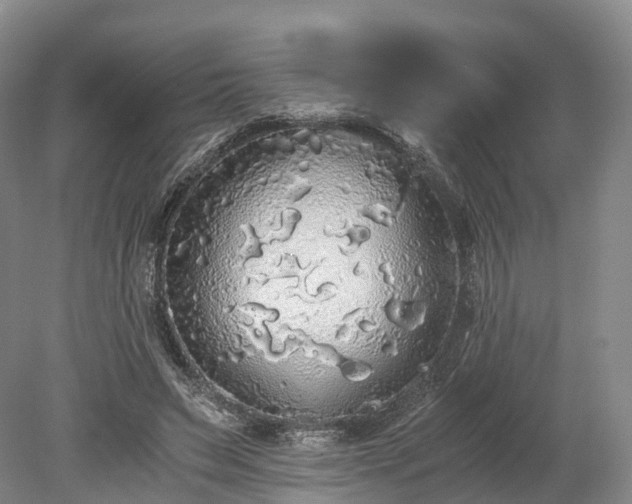 X0000078280495200611101137