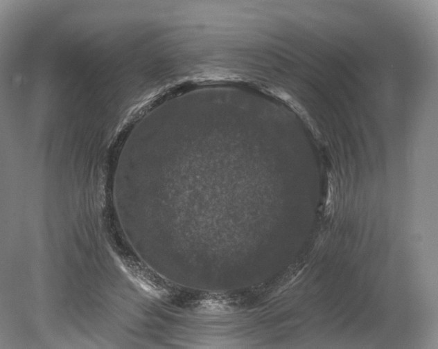 X0000078280496200611101137