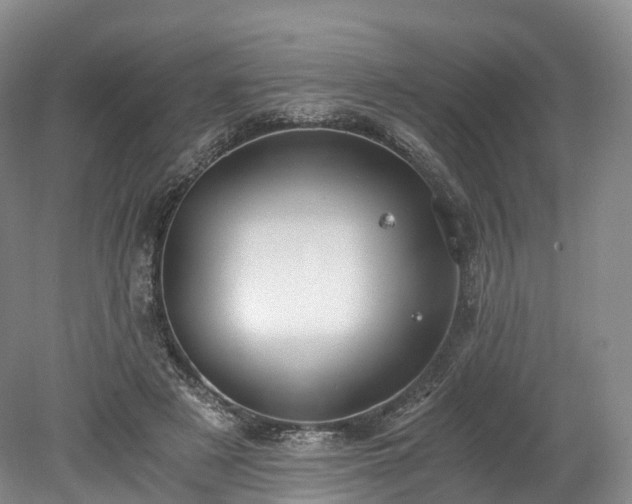 X0000078280497200611101137