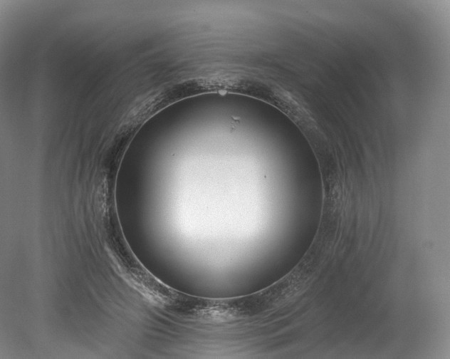 X0000078280498200611101137