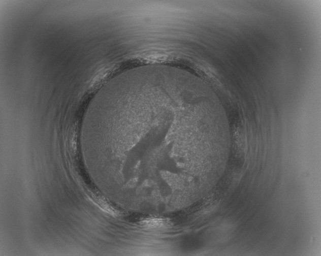 X0000078280499200611101137