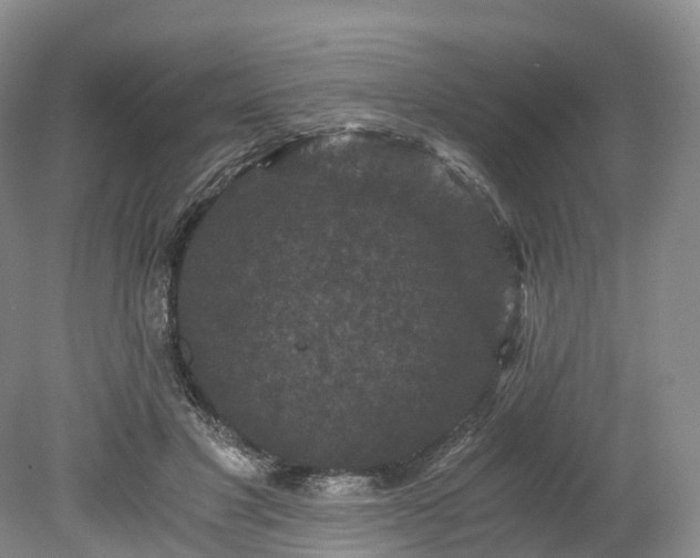 X0000078280501200611101137