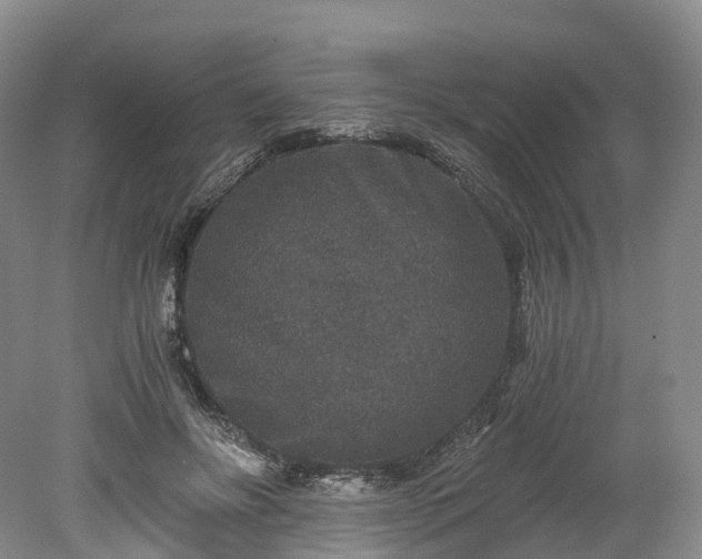 X0000078280502200611101137