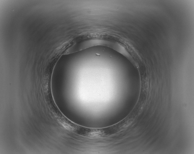 X0000078280505200611101137