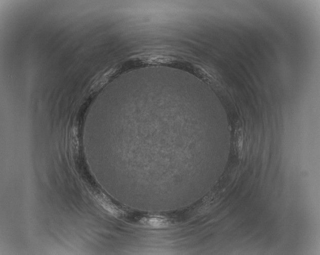 X0000078280506200611101137