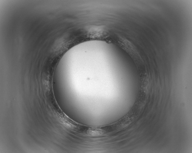 X0000078280510200611101137