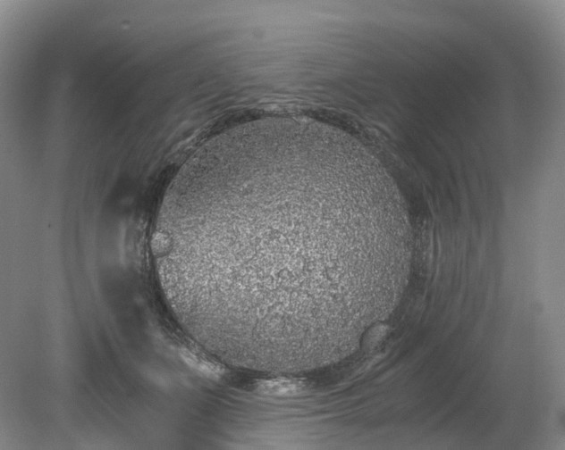 X0000078280511200611101137