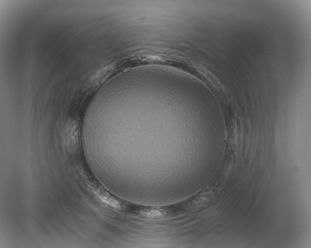 X0000078280513200611101137