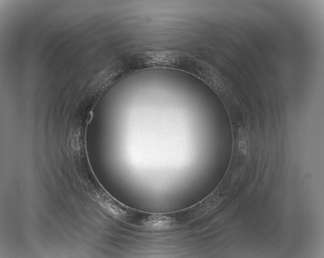 X0000078280514200611101137