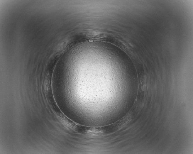 X0000078280515200611101137