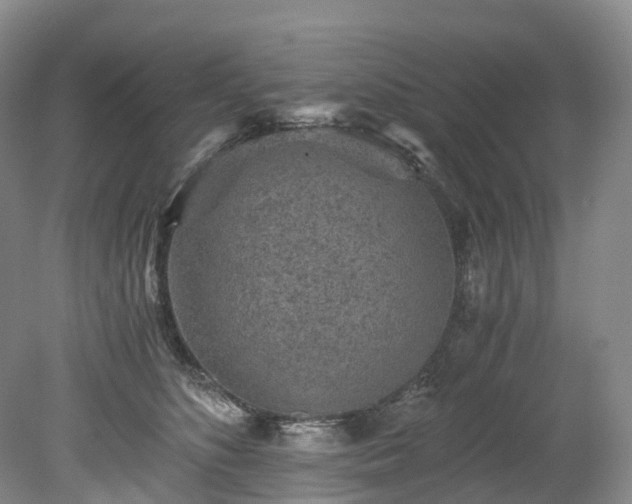 X0000078280516200611101137