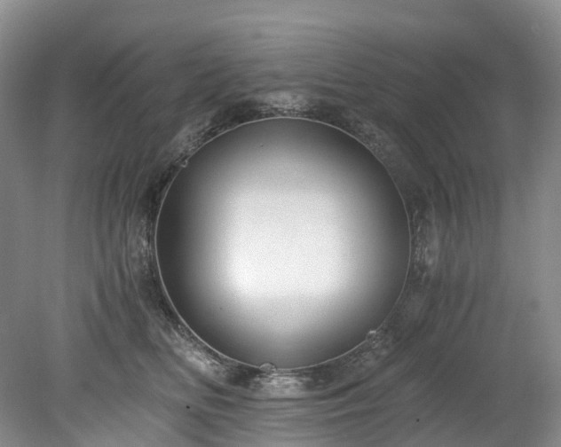 X0000078280518200611101137