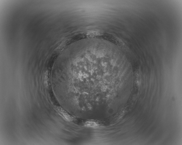 X0000078280519200611101137