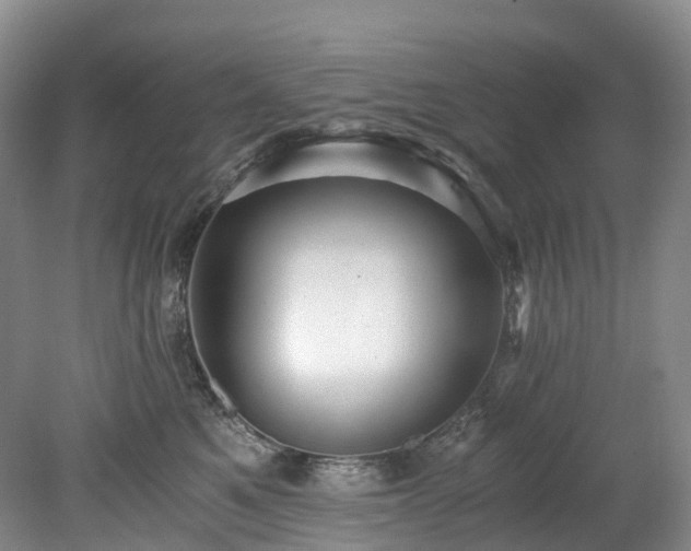 X0000078280521200611101137