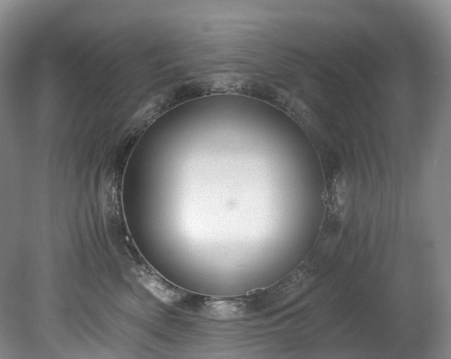 X0000078280522200611101137