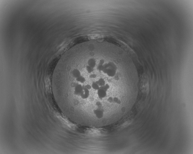 X0000078280523200611101137