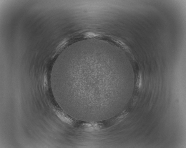 X0000078280524200611101137