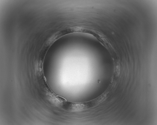 X0000078280525200611101137